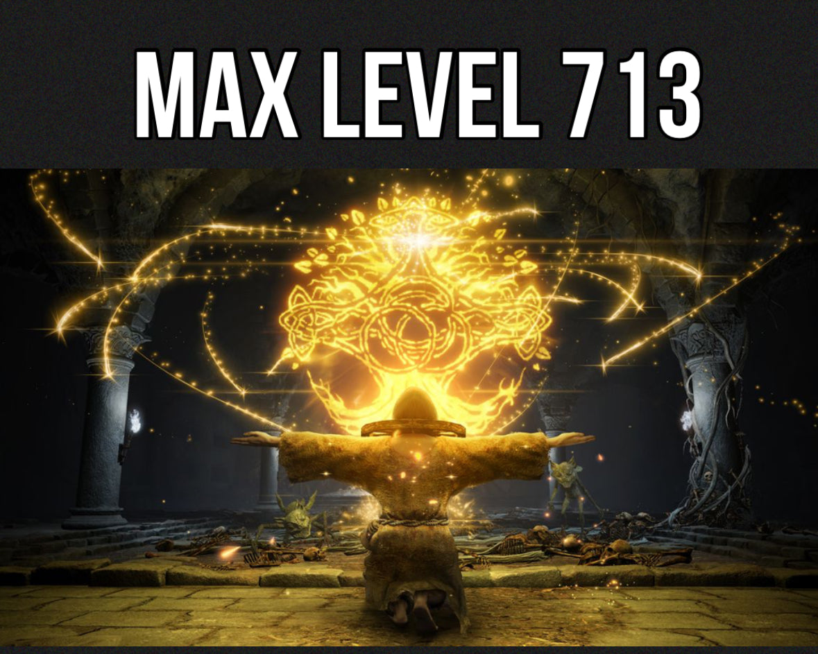 MAX LEVEL 713